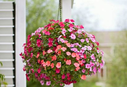 hanging-baskets-101063531-04